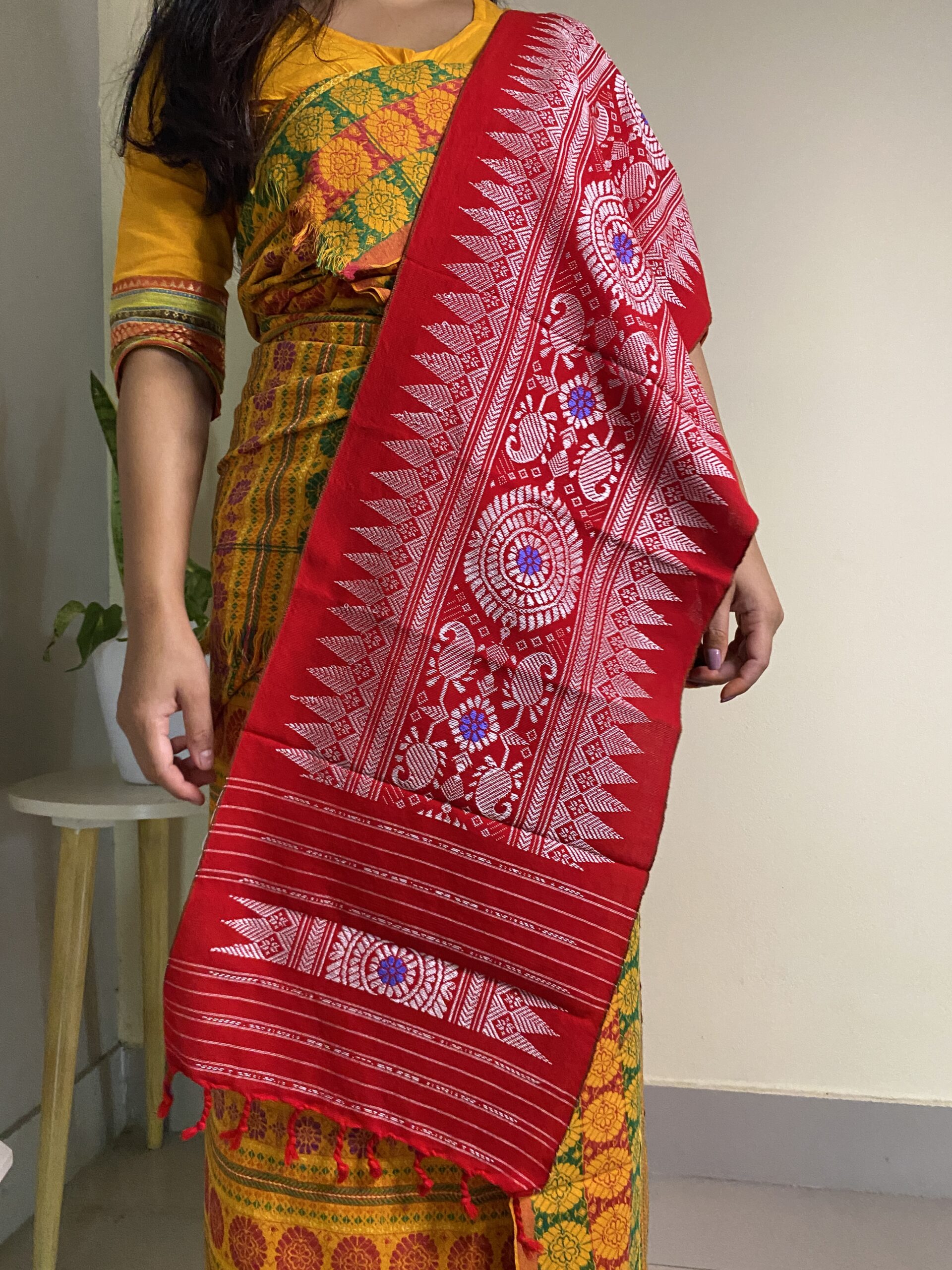 Red Aronai with white agor